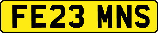 FE23MNS