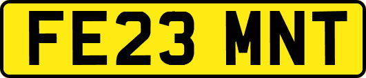 FE23MNT