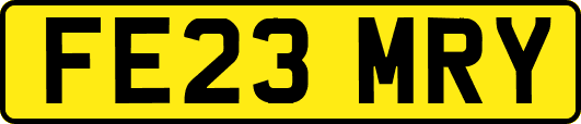 FE23MRY