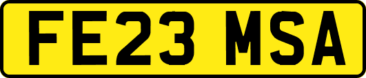 FE23MSA