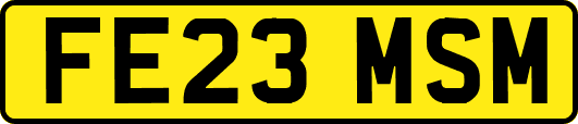 FE23MSM