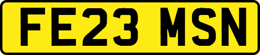 FE23MSN
