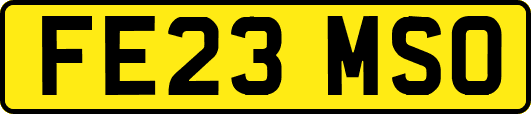 FE23MSO