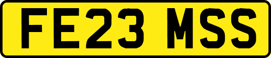 FE23MSS