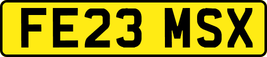 FE23MSX