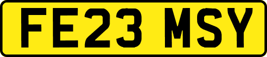 FE23MSY
