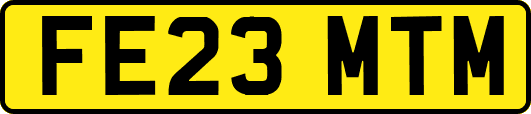 FE23MTM