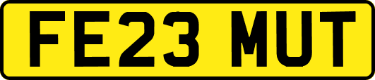 FE23MUT