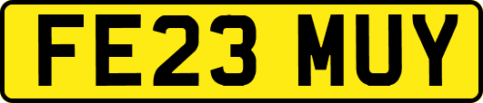 FE23MUY