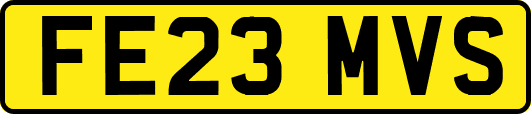 FE23MVS