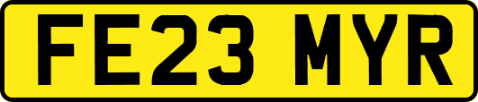 FE23MYR