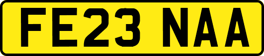 FE23NAA