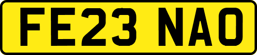 FE23NAO