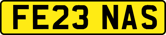 FE23NAS