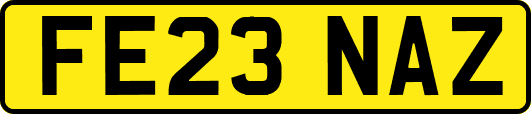 FE23NAZ