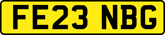 FE23NBG