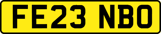 FE23NBO