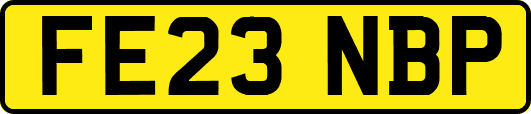 FE23NBP