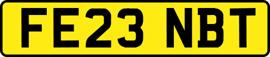 FE23NBT