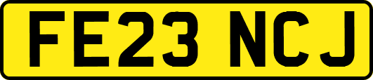 FE23NCJ
