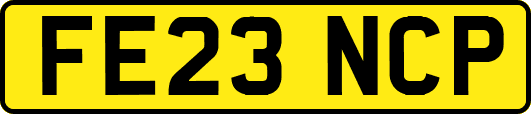 FE23NCP