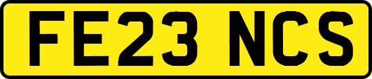 FE23NCS