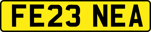 FE23NEA
