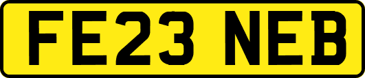 FE23NEB