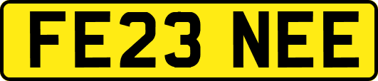 FE23NEE