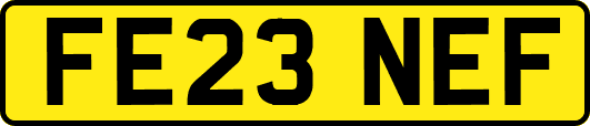 FE23NEF