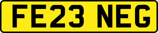 FE23NEG