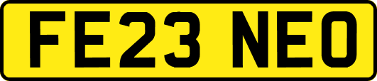 FE23NEO