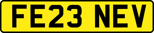 FE23NEV