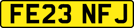 FE23NFJ