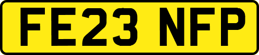 FE23NFP