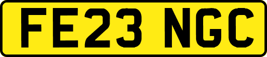 FE23NGC