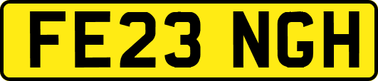 FE23NGH