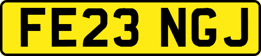 FE23NGJ
