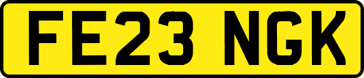 FE23NGK