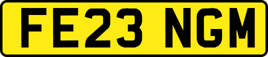 FE23NGM