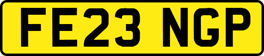 FE23NGP
