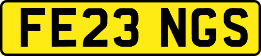 FE23NGS