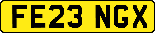 FE23NGX