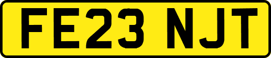 FE23NJT