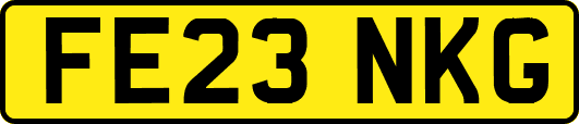 FE23NKG