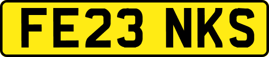 FE23NKS