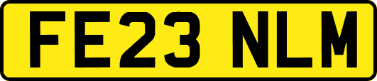 FE23NLM