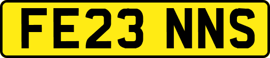 FE23NNS