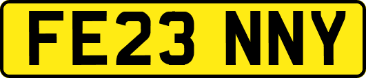 FE23NNY