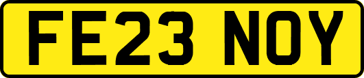 FE23NOY